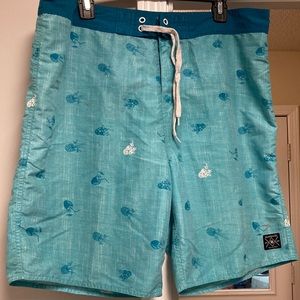 Mens island haze swim trunks